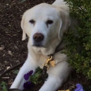 Meet your Posher, Wendy